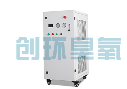 五指山石斑鱼养殖水质调控完整指南：臭氧发生器配置与操作步骤