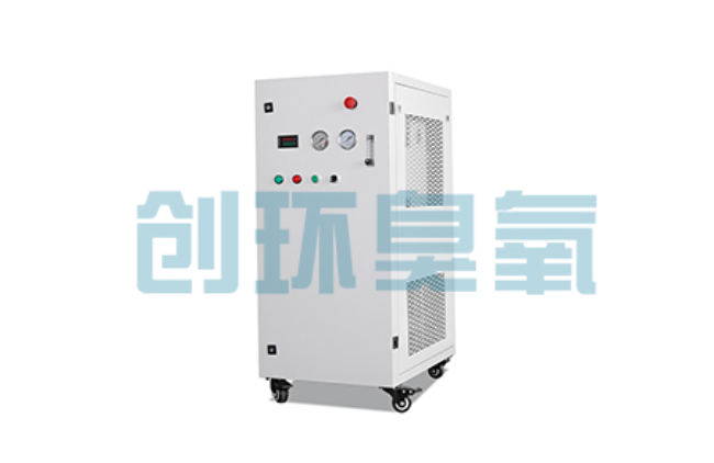 五指山比传统换水更高效？臭氧发生器在石斑鱼养殖中的水质净化原理解析
